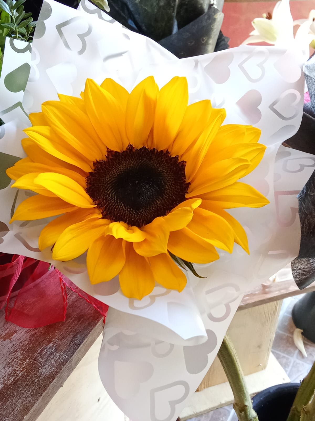 WhatsApp Image 2025-04-07 at 2.01.08 PM